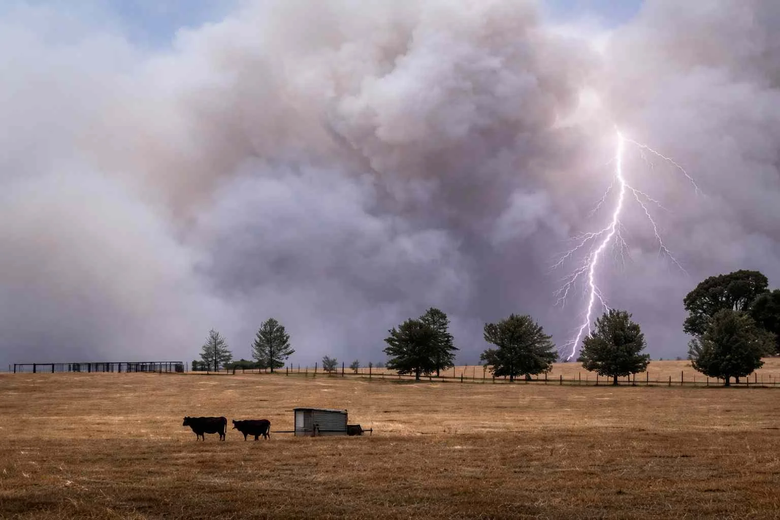 tormenta-campo-sequia-rayos-vacas-lluvias-ruralnet